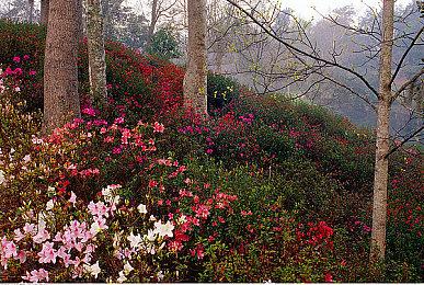 贯穿夏日 《EA Sports FC 24》信息发布时间表公布